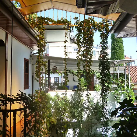 Frankfurt Antalya